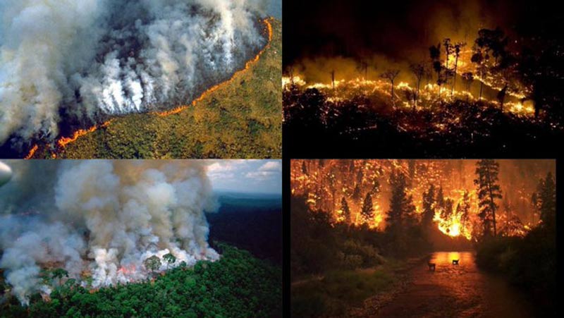 Tragedia Ambiental: Amazonas arde mientras Bolsonaro da la espalda al cambio climático. Video