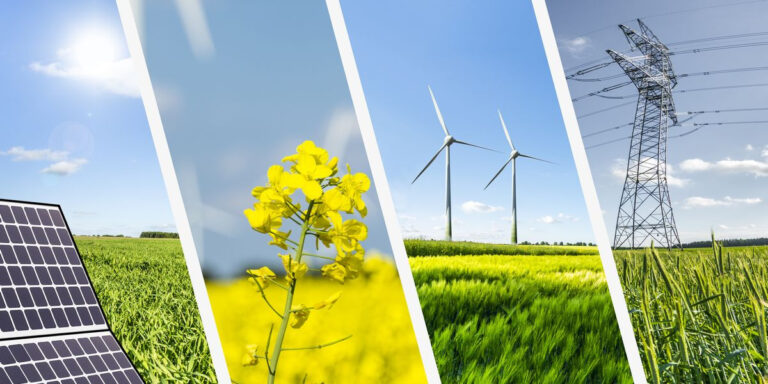 China está reverdeciendo al Sur Global, aunque alcanzar la neutralidad CO₂ implica  billones/año