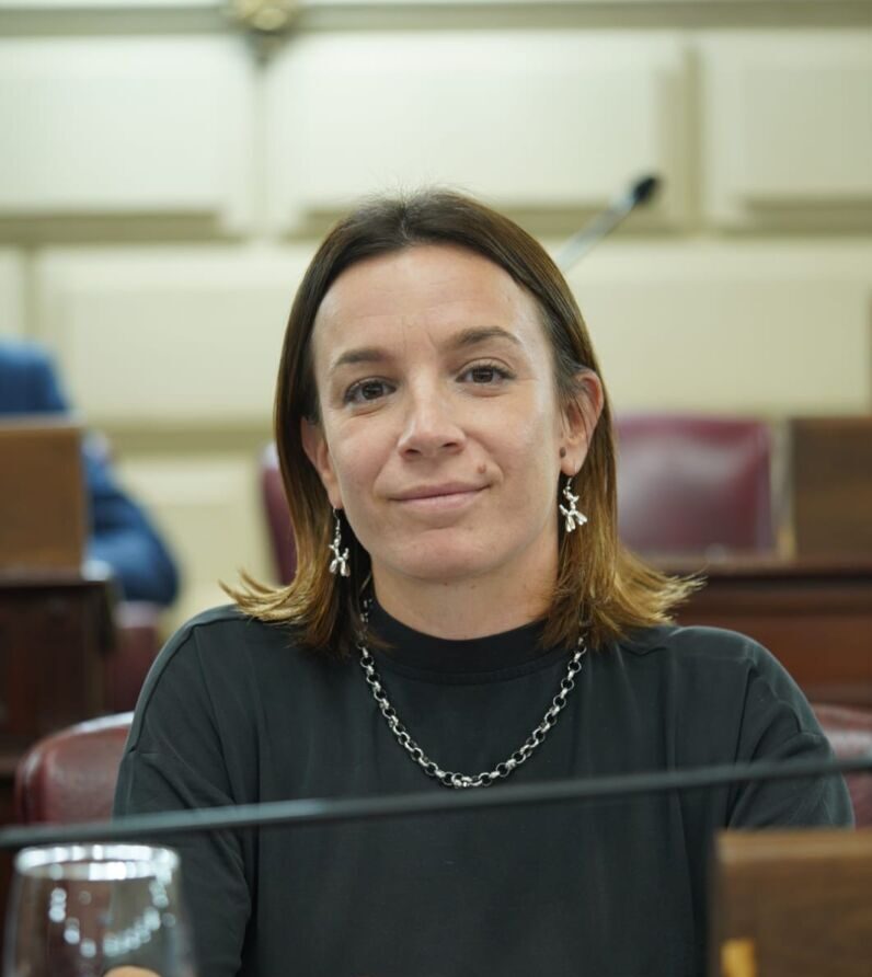 De Ponti impulsa la Participación Ciudadana en Santa Fe: Iniciativa, Referéndum, Plebiscito, Audiencias