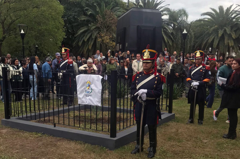 Plantaron en Roque Sáenz Peña, Chaco, un nieto del Pino Histórico cedido por San Lorenzo