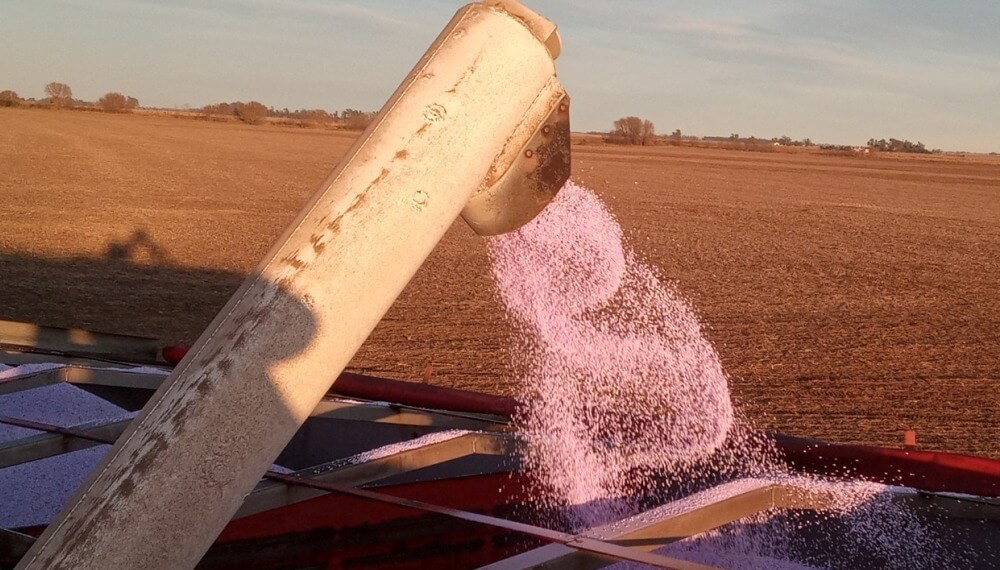El negocio del agro viene mejor nutrido en 2026: crecen fuerte las importaciones de fertilizantes