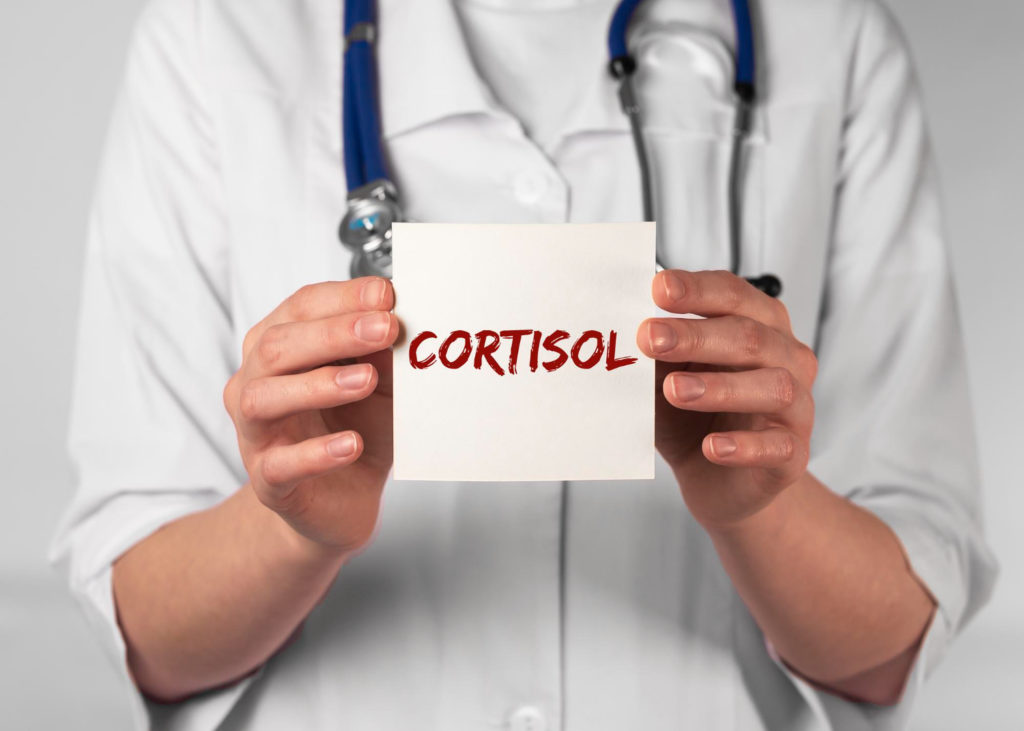 Cortisol: qué hace realmente la “hormona del estrés”