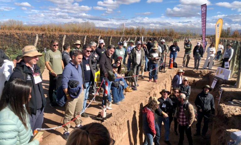 “Cuyo está como Aapresid hace 30 años en la Pampa Húmeda: somos ‘los locos’ que hacemos algo distinto”
