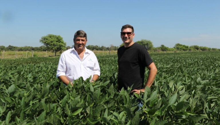 Al estilo Brasil: los hermanos Soneira rotan soja y maíz en Formosa, y logran una doble cosecha gruesa