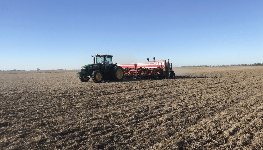 Expectativas renovadas para el trigo: la urea sigue bajando y la siembra recupera hectáreas